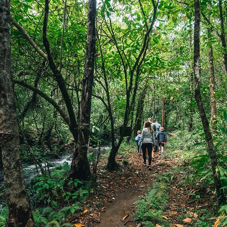 El Silencio Lodge & Spa Costa Rica Toro Amarillo Ngoại thất bức ảnh