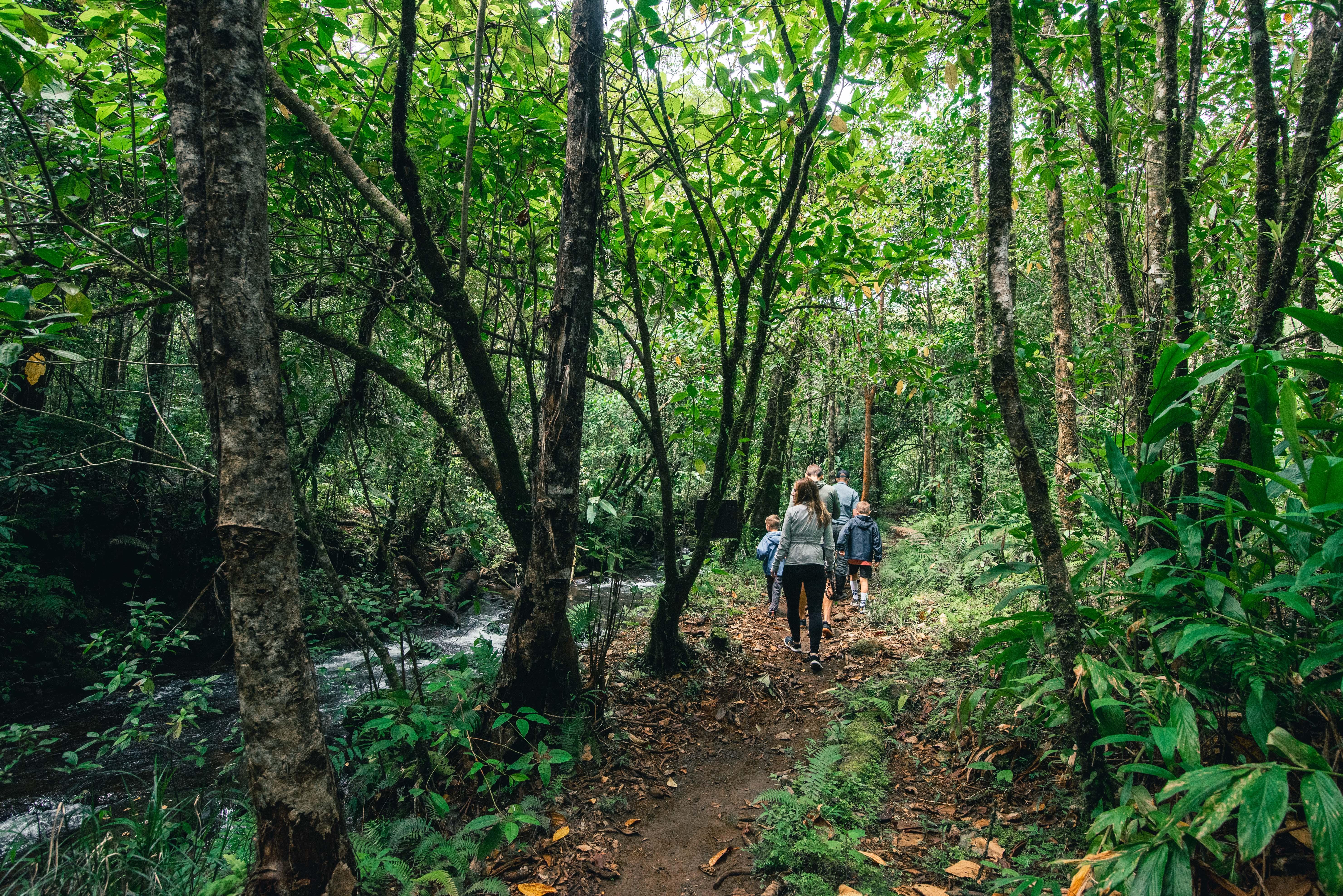 El Silencio Lodge & Spa Costa Rica Toro Amarillo Ngoại thất bức ảnh