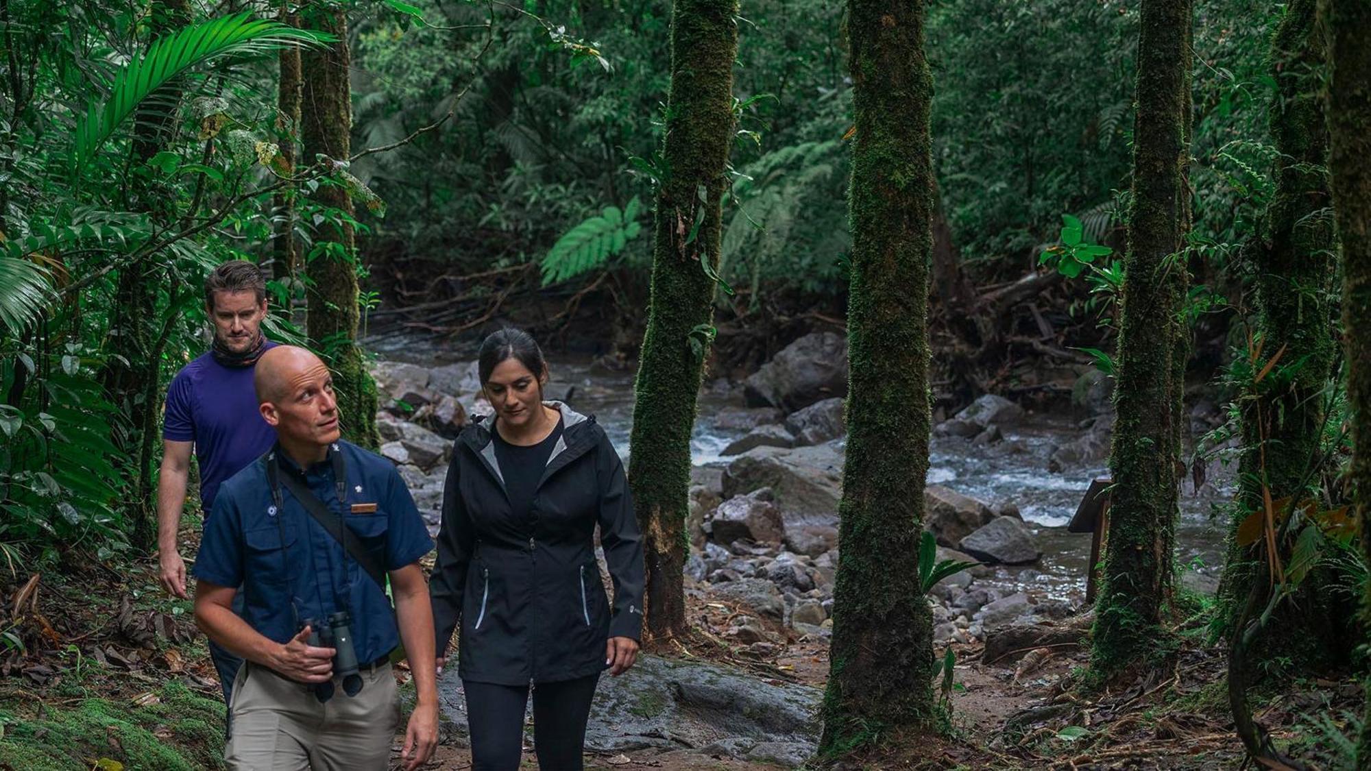 El Silencio Lodge & Spa Costa Rica Toro Amarillo Ngoại thất bức ảnh